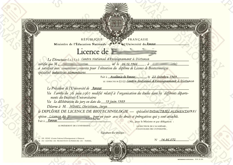 Diplôme Rapide : Recevez le vôtre sans attendre