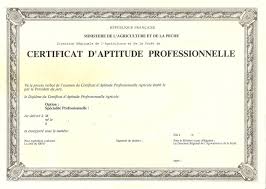 Acheter un Certificat d'Aptitude Professionnelle